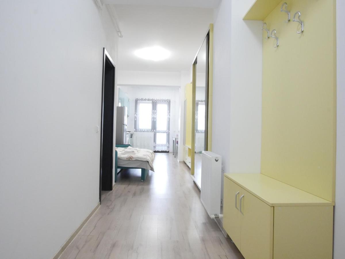 Re Dowtown Apartments - Palas Mall Studio Iasi Ngoại thất bức ảnh